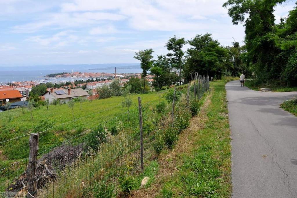 Apartment Izolanka / Great Location / Best Sea And City View エクステリア 写真